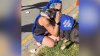 WATCH: Runner surprised by dog battling cancer at Mile 23 of Chicago Marathon