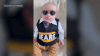 Adorable Mike Ditka baby photo shoot from lifelong Bears fans goes viral