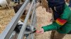 Popular suburban pumpkin farm may be connected to 5 confirmed cases of E. coli