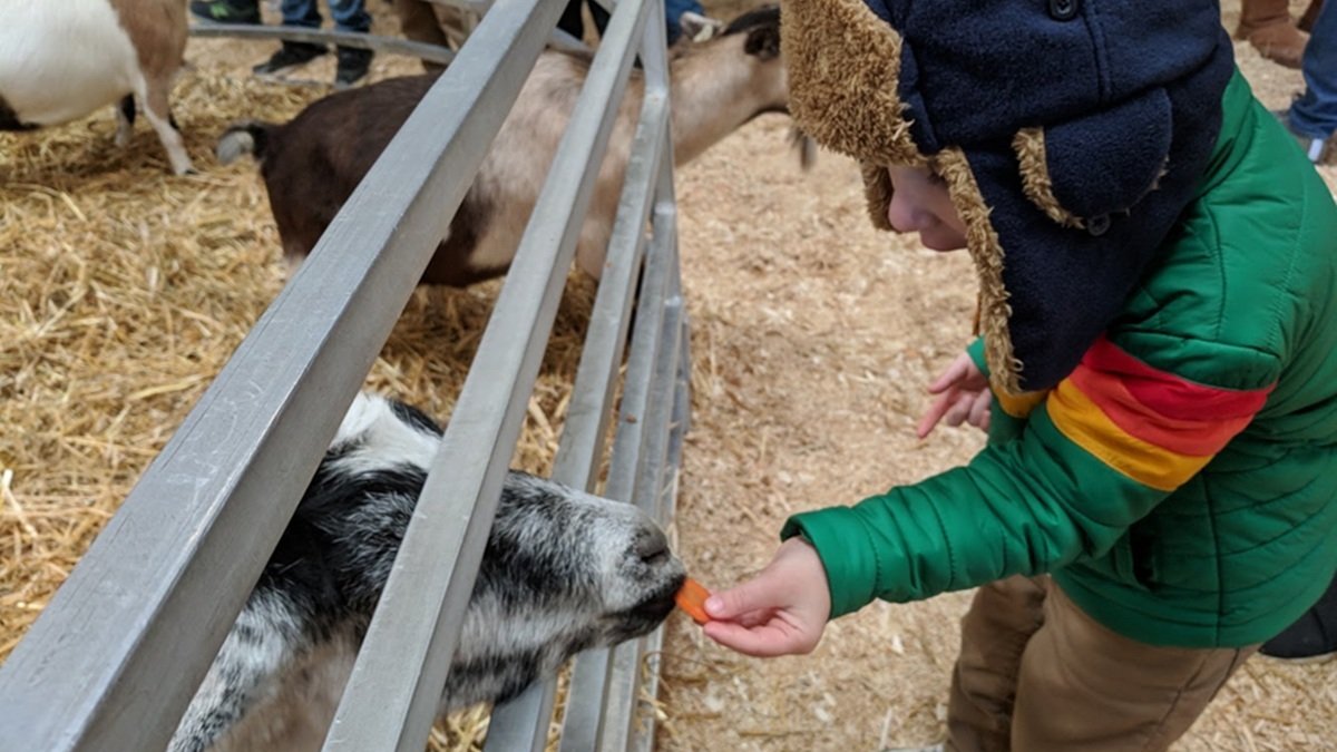 Popular suburban pumpkin farm may be connected to 5 confirmed cases of E. coli