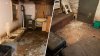 See inside the putrid suburban home where 76 dogs were rescued from horrific conditions