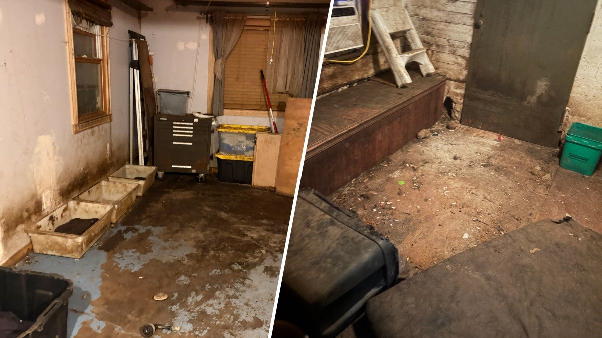 See inside the putrid suburban home where 76 dogs were rescued from horrific conditions