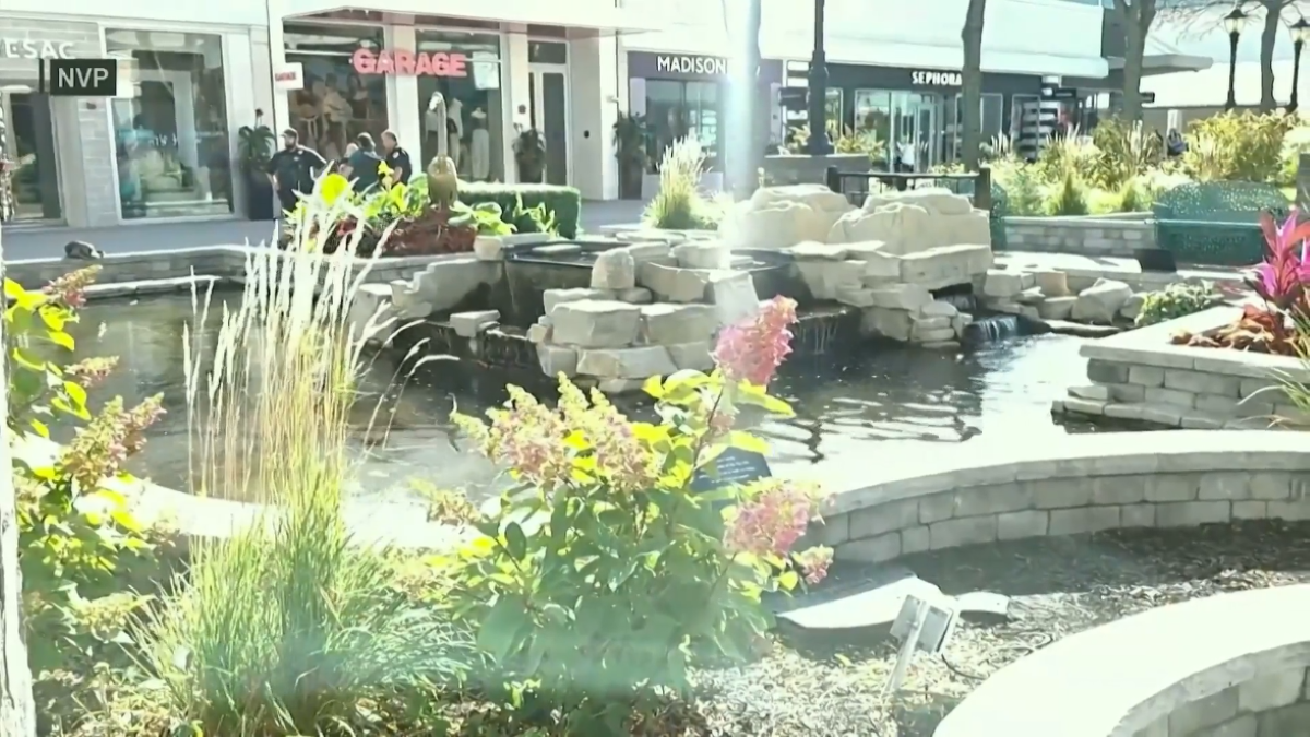 Woman suffered broken vertebrae, concussion in violent Old Orchard Mall attack