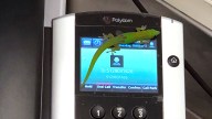 Gecko Butt-Dials 'Bazillion' Times From Hawaii Seal Hospital
