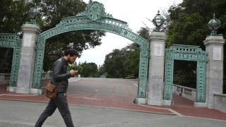 Artists: We Put Up UC Berkeley Campus Effigies