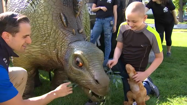 Illinois Boy Battling Cancer Is Surprised With Jurassic Bedroom