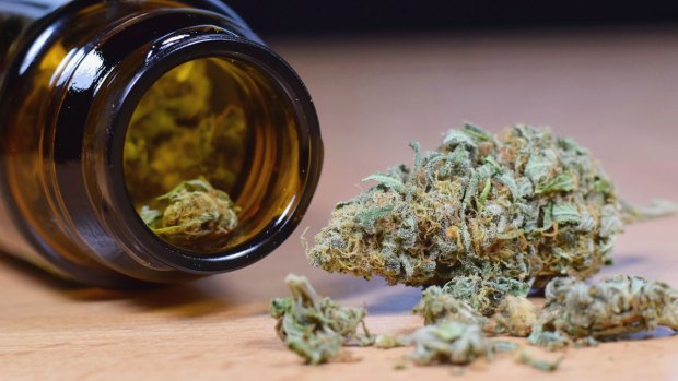 Progress Made on Marijuana Laws as Legalization Nears