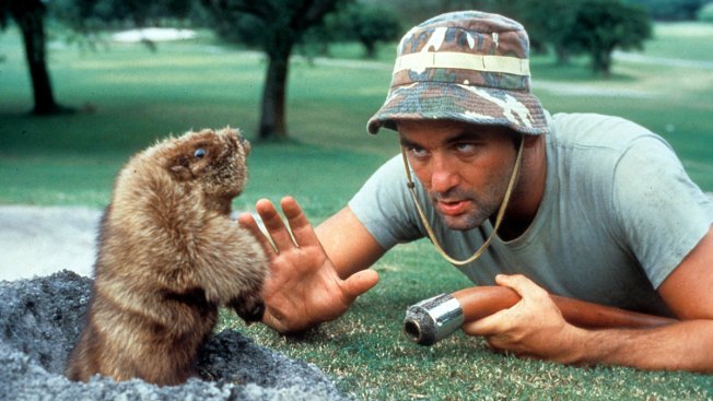 Test Your 'Caddyshack' Knowledge With This Quiz