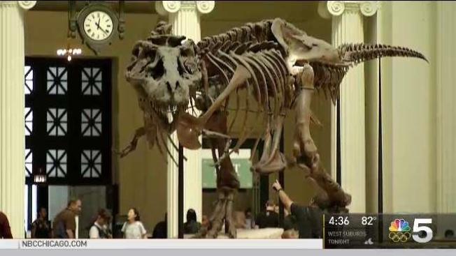 new dinosaur at field museum