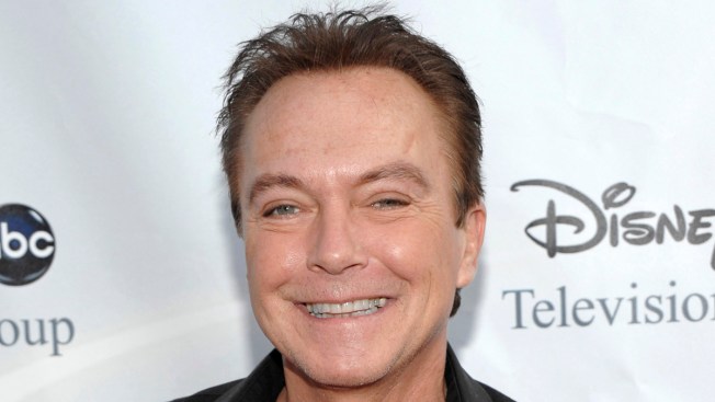 'The Partridge Family' actor David Cassidy hospitalised 'The Partridge Family' actor David Cassidy hospitalised