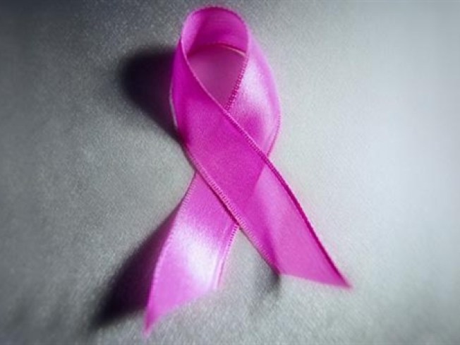 13th Annual Komen Chicago Race for the Cure